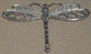 pewter dfly